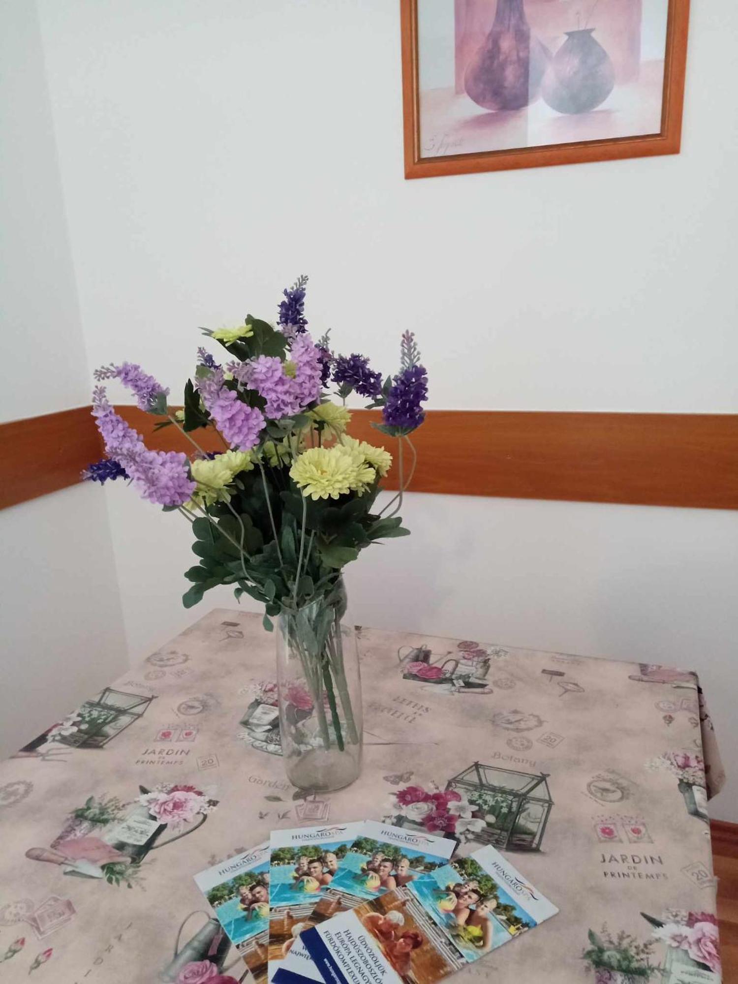 Oazis Wellness Apartman2 Hajdúszoboszló Dış mekan fotoğraf